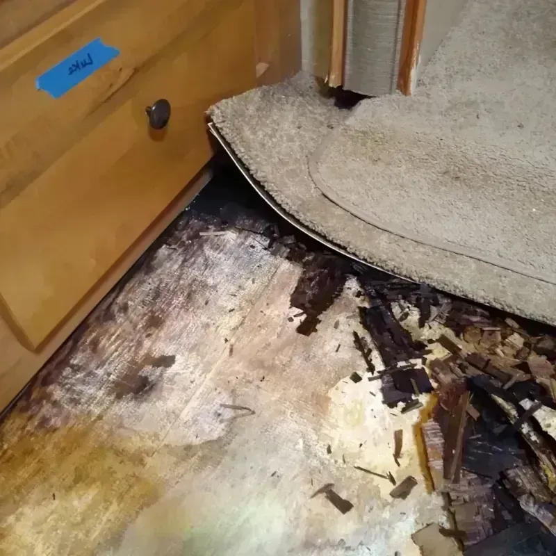 Wood Floor Water Damage in Eloy, AZ